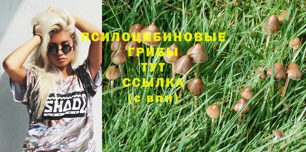 mix Армянск