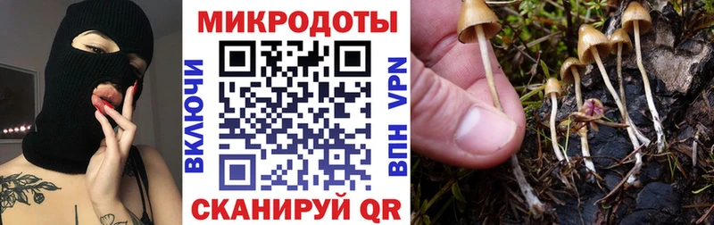 как найти наркотики  Покров  Галлюциногенные грибы прущие грибы 