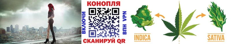 Шишки марихуана SATIVA & INDICA KRAKEN зеркало Покров